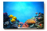 Sinus Art Wandbild 120x80cm Bunte Meeresbewohner und Korallen in einer lebendigen Unterwasserwelt