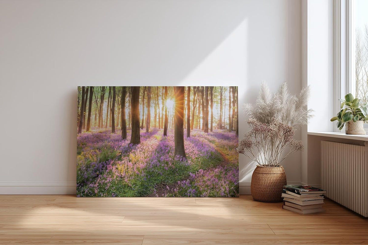 Sinus Art Wandbild 120x80cm Waldszene mit violetten Blüten und einfallender Sonne für verträumte Atmosphäre