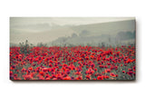 Sinus Art Wandbild 120x80cm Friedliche Blumenlandschaft mit Weitblick und natürlicher Farbintensität