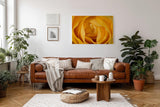 Sinus Art Wandbild 120x80cm Detailreiche Makroaufnahme einer gelben Rose – Symbol für Freundschaft und Freude