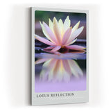 Paul Sinus Kunstdruck 40x60cm Lotus Blume Wasser Spiegelung Ruhe Zen Meditativ Lotus Reflection