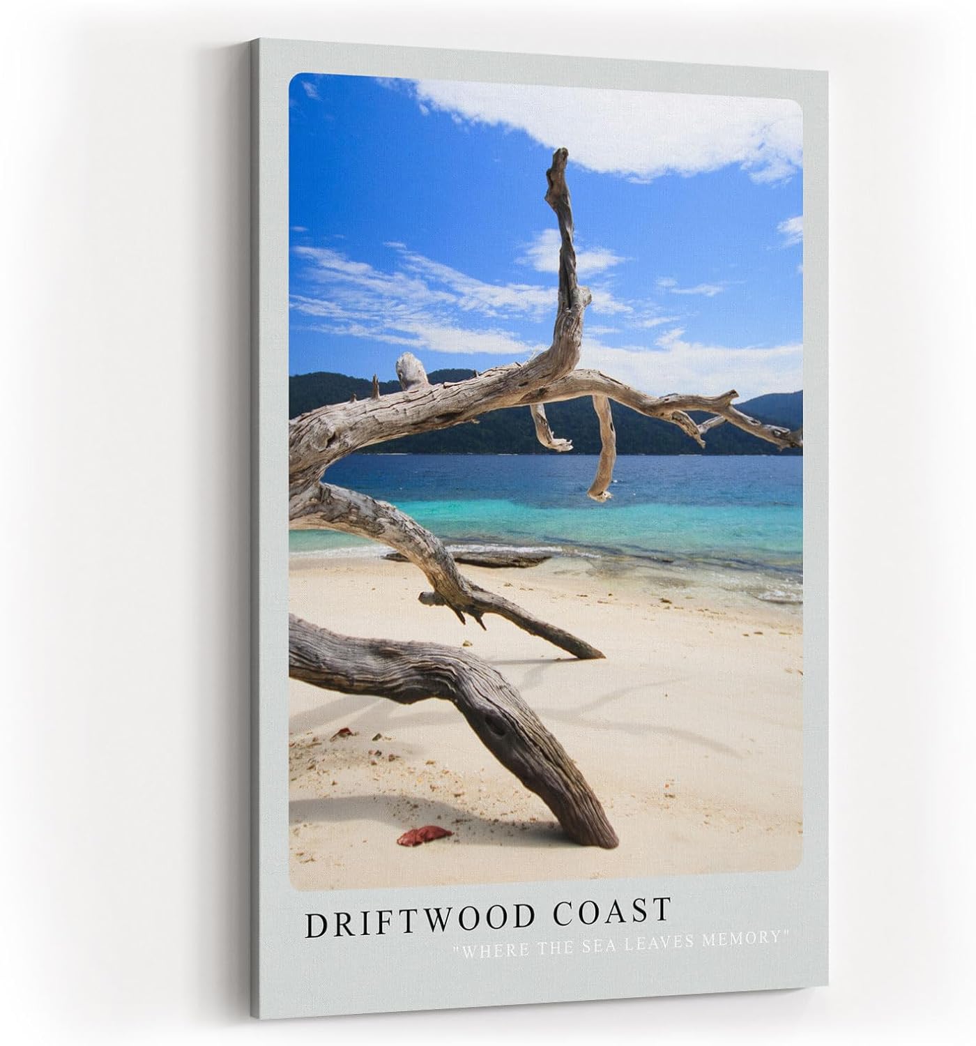 Paul Sinus Kunstdruck 40x60cm Driftwood Coast Strand Meer Treibholz Natur Türkis Fotografie