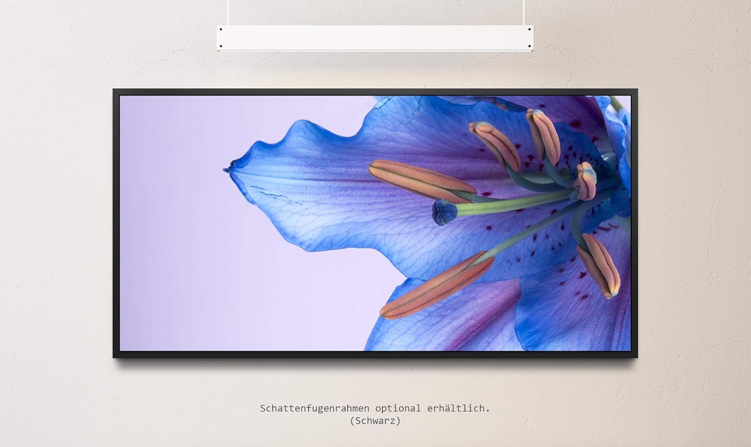 blaue Blumenblüte ca. 130x70cm Wandbild inklusive Schattenfugenrahmen schwarz - Panorama Leinwand Bild XXL Format Wandbilder Wohnzimmer Wohnung Deko Kunstdrucke
