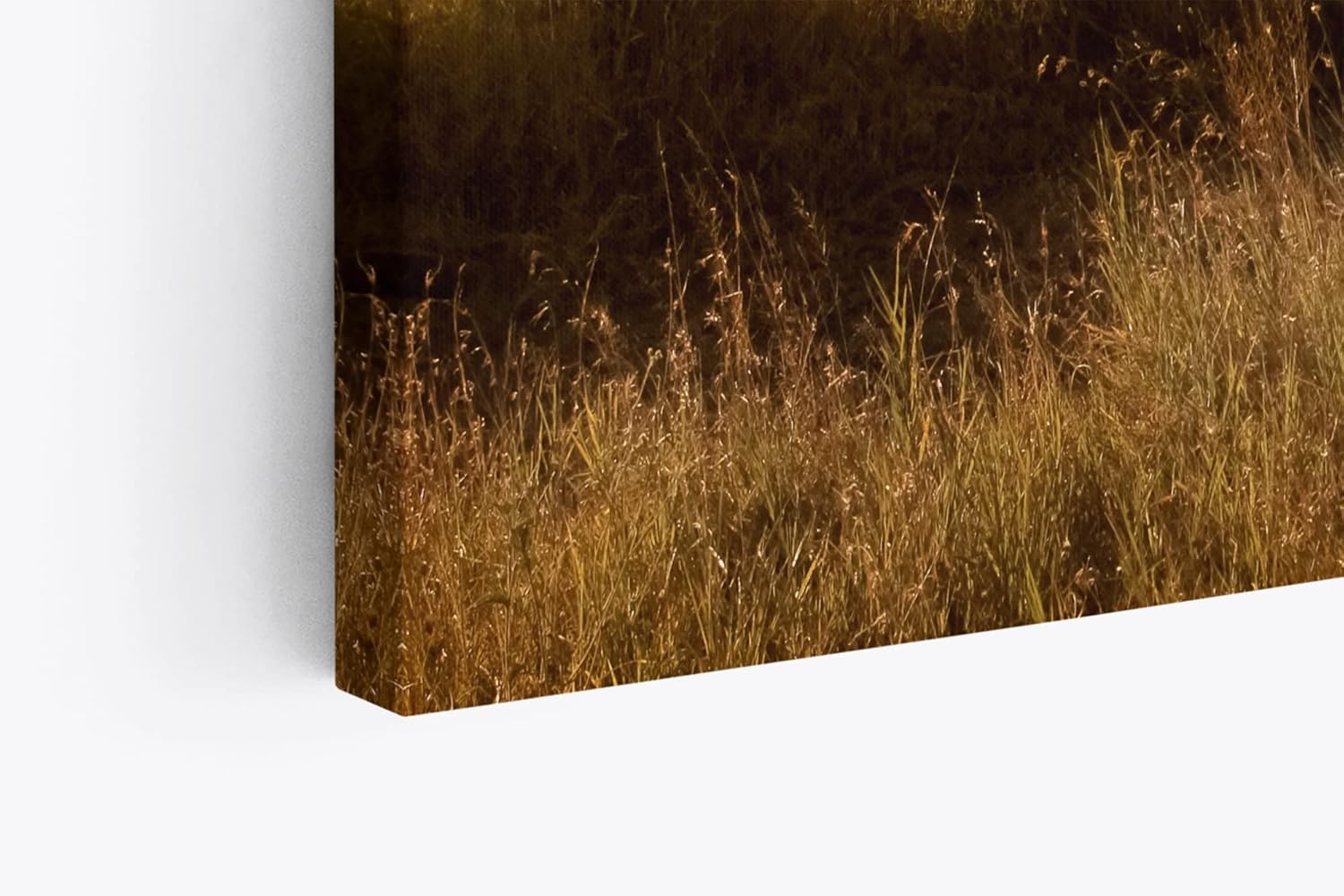 Paul Sinus Wandbild 120x80cm Elefanten Elefantenherde Afrika Natur Landschaft Sonne