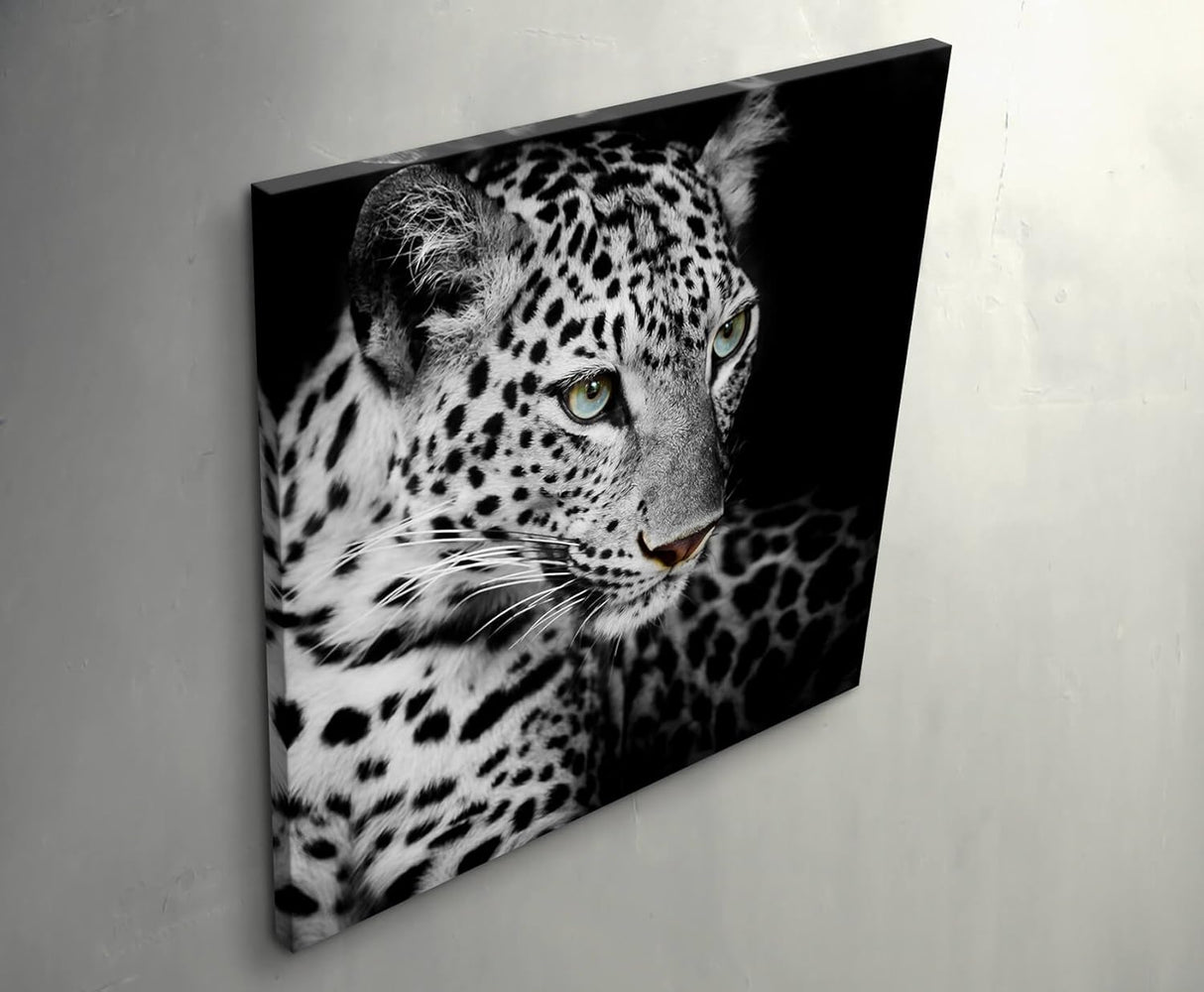 Paul Sinus Art Leinwandbilder | Bilder Leinwand 60x60cm Portrait eines liegenden Leoparden schwarzweiß