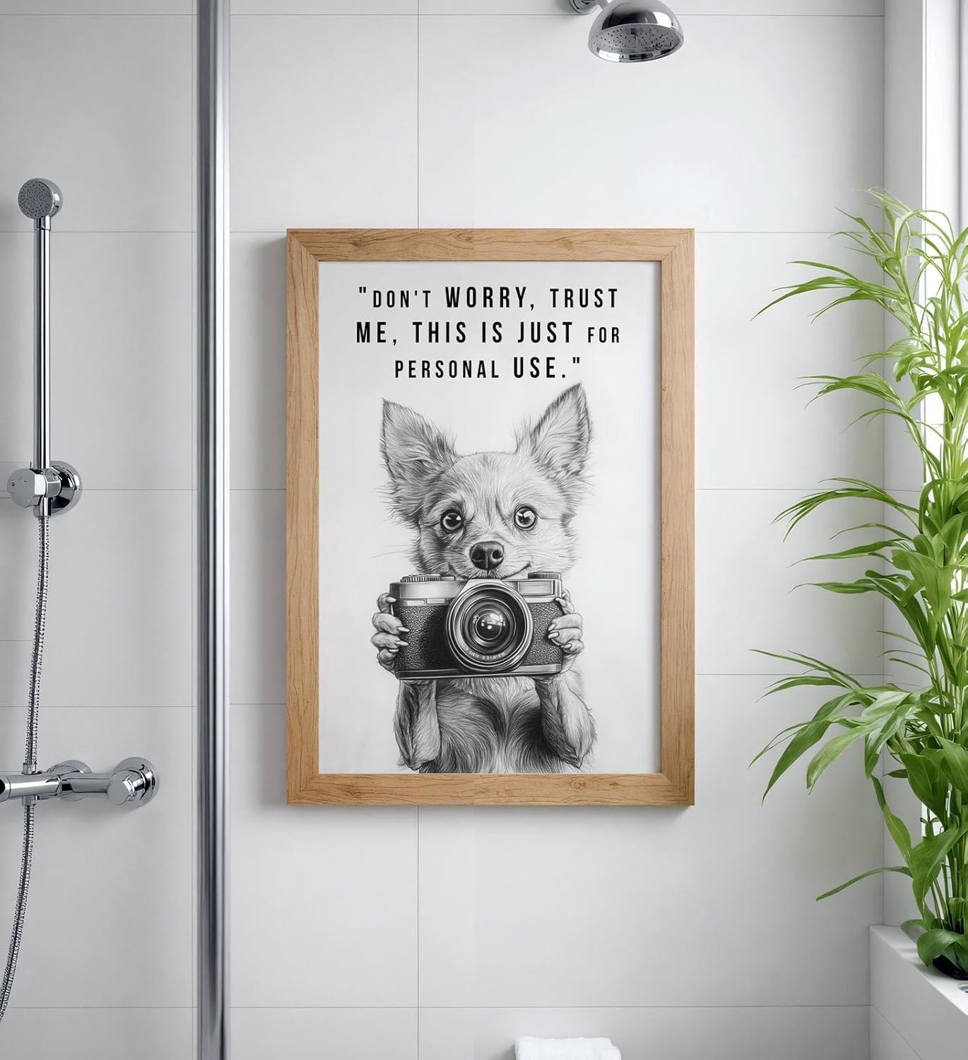 Paul Sinus Poster/Leinwandbild/Rahmenoption Lustiges Hundebild – Witzige Klo-Deko fürs Gäste-WC – Perfekt für Fotografie-Fans