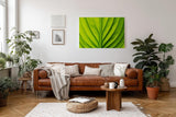 Sinus Art Wandbild 120x80cm Die symmetrische Blattstruktur bringt Ordnung, Frische und natürliche Ruhe in den Raum