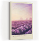 Paul Sinus Kunstdruck 40x60cm Lavender Season Lavendelfeld Sonnenuntergang Provence Violett Naturidylle