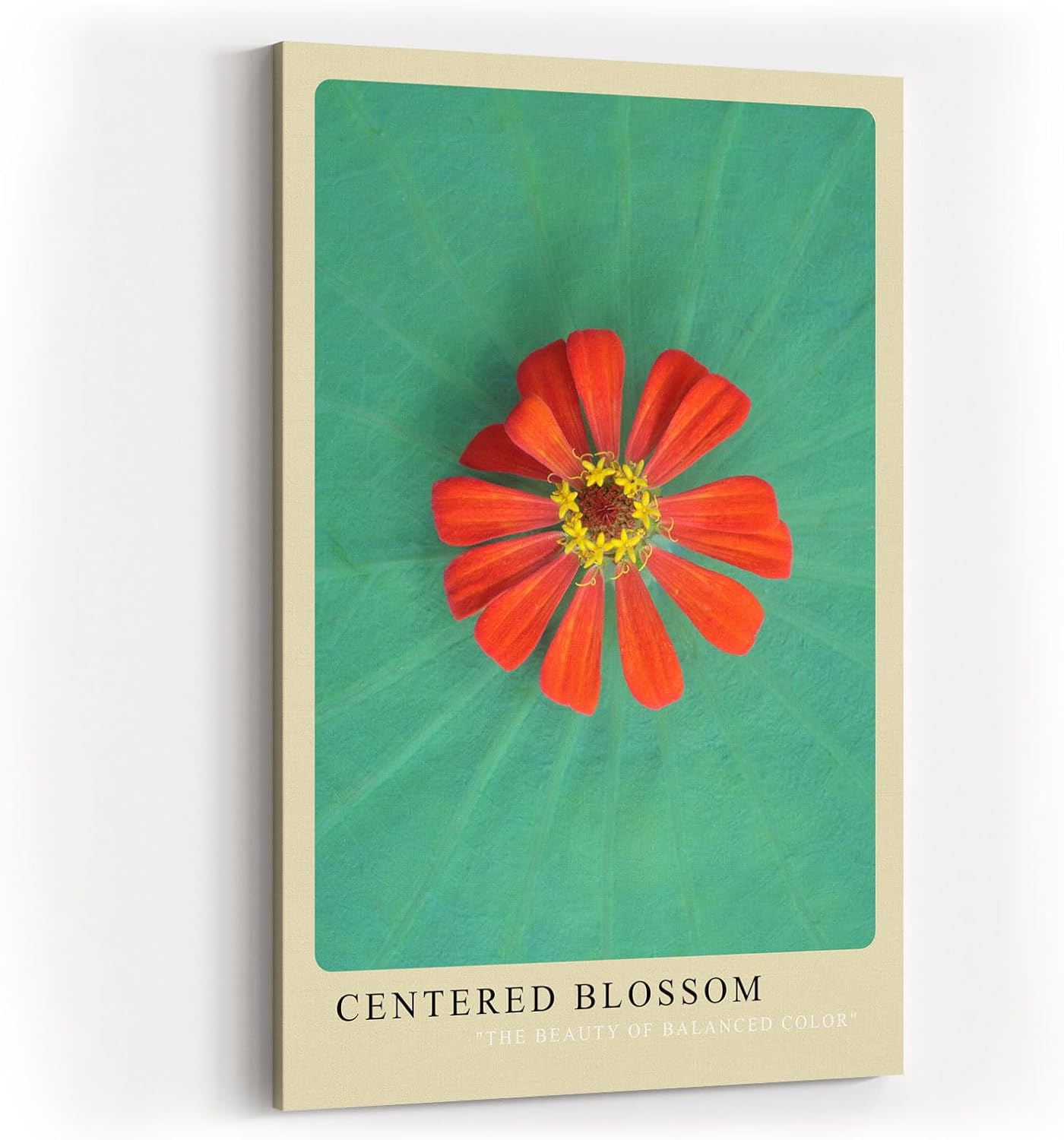 Paul Sinus Kunstdruck 40x60cm Blume Makro Lotus Balance grün rot Centered Blossom
