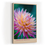 Paul Sinus Wandbild in 40x60cm Crown of Morning – leuchtendes Blütenporträt mit zarten Tautropfen in warmen Farbtönen für frische Wohnakzente