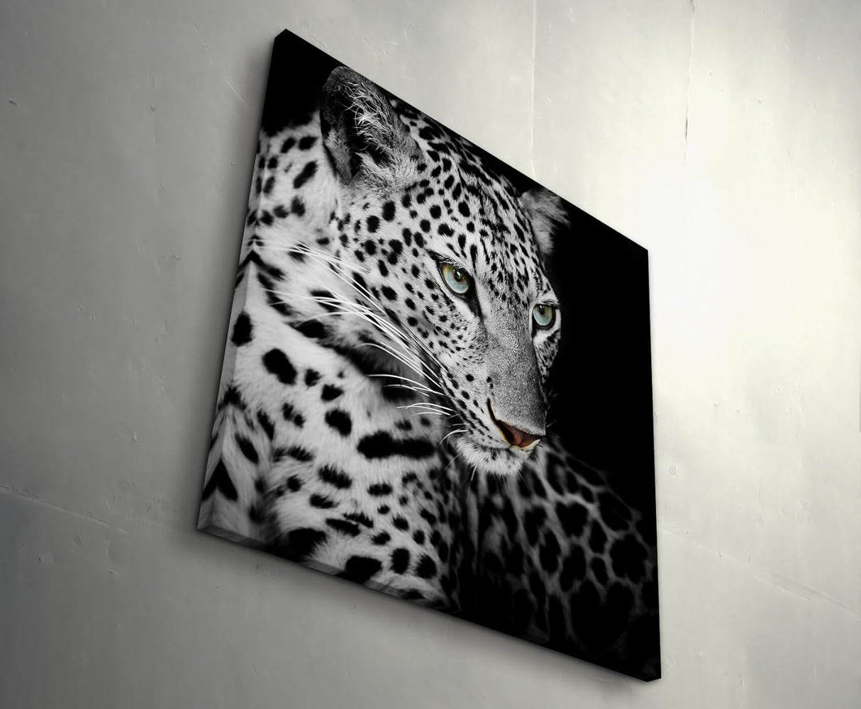 Paul Sinus Art Leinwandbilder | Bilder Leinwand 60x60cm Portrait eines liegenden Leoparden schwarzweiß