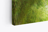 Paul Sinus Wandbild 120x80cm Bambus Bambuswald Japan Grün Bäume Sonnenschein
