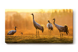 Sinus Art Wandbild 120x80cm Die Kraniche in der goldenen Landschaft erzeugen ein Gefühl von Freiheit und Frieden