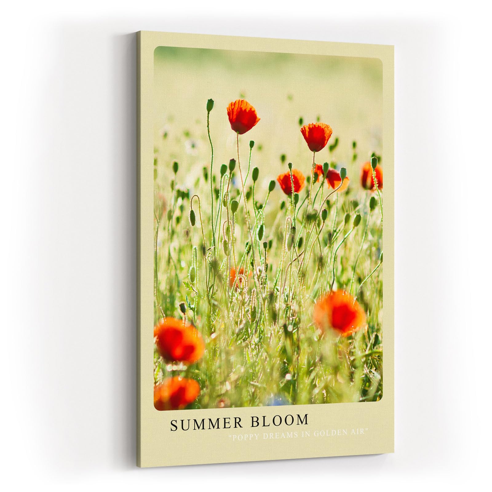Paul Sinus Kunstdruck 40x60cm Sommer Mohnblumen Feld Blumenwiese Natur Licht Summer Bloom