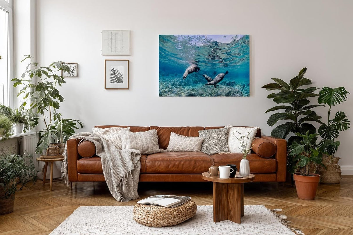 Sinus Art Wandbild 120x80cm Faszinierende Szene mit schwimmenden Seelöwen in Bewegung in türkisblauer Umgebung