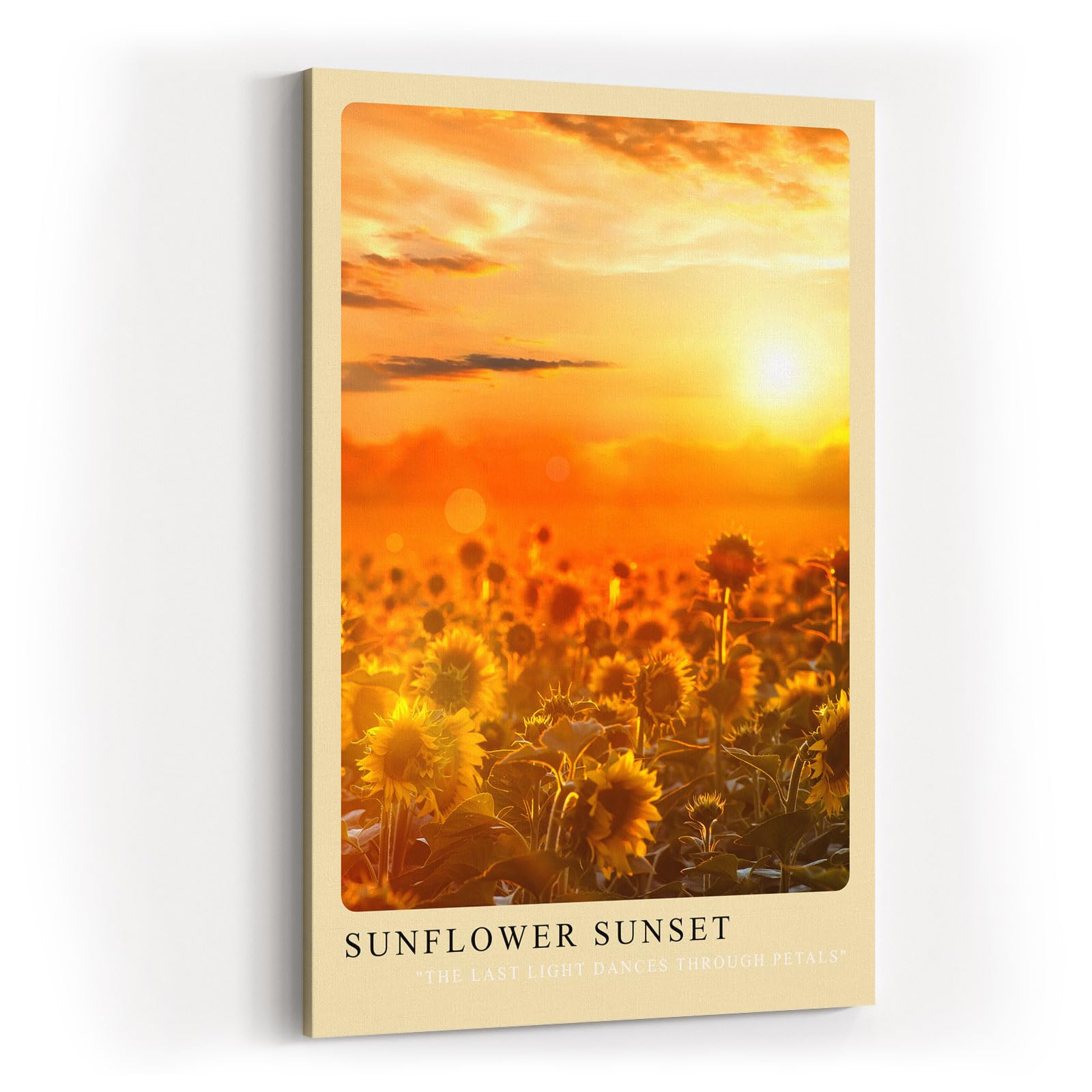 Paul Sinus Kunstdruck 40x60cm Sunflower Sunset Sonnenblumenfeld im goldenen Licht des Sonnenuntergangs mit leuchtender Tiefe
