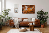 Sinus Art Wandbild 120x80cm Herbstlicher Mischwald mit elegant geschwungener Straße in Luftaufnahme