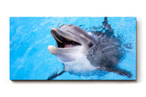 Sinus Art Wandbild 120x80cm Freundlicher Delfin in klarem Wasser – ein lebendiges und positives Motiv