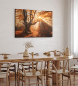 Paul Sinus Wandbild 120x80cm Große Eiche Baum Herbst Herbstblätter Sonnenstrahl Wald