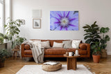 Sinus Art Wandbild 120x80cm Detailreiche Darstellung einer Clematisblüte in Violett mit weißem Zentrum