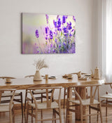 Paul Sinus Wandbild 120x80cm Lavendel Blumen Violett Feldblumen Wildblumen