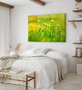Paul Sinus Wandbild 120x80cm Grüne Wiese Blumen Löwenzahn Wildblumen Sommer