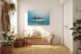 Sinus Art Wandbild 120x80cm Fesselndes Tiermotiv mit realistischer Darstellung eines Haies im Tiefblau