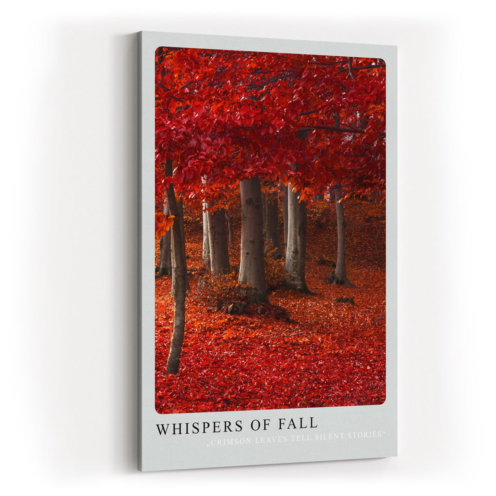 Paul Sinus Kunstdruck 40x60cm Whispers of Fall mit rotem Herbstwald und Laubteppich