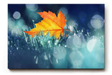 Sinus Art Wandbild 120x80cm Einzelnes orangefarbenes Ahornblatt im feuchten Gras mit Tautropfen und Lichtpunkten