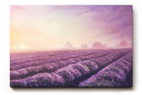 Sinus Art Wandbild 120x80cm Friedliche Landschaft mit Lavendelreihen und weichem Abendlicht für stimmungsvolle Atmosphäre