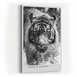 Paul Sinus Wandbild in 40x60cm Tiger in Silence – Ausdrucksstarkes Schwarz-Weiß-Porträt eines Tigers im Wasser