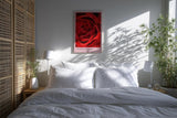 Paul Sinus Kunstdruck 40x60cm Scarlet Bloom – Rote Rosenblüte in Makroaufnahme mit eleganter Form und samtiger Textur