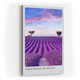 Paul Sinus Kunstdruck 40x60cm Valensole Plateau Lavendelfelder Provence Reihen Himmel Sommerfarben