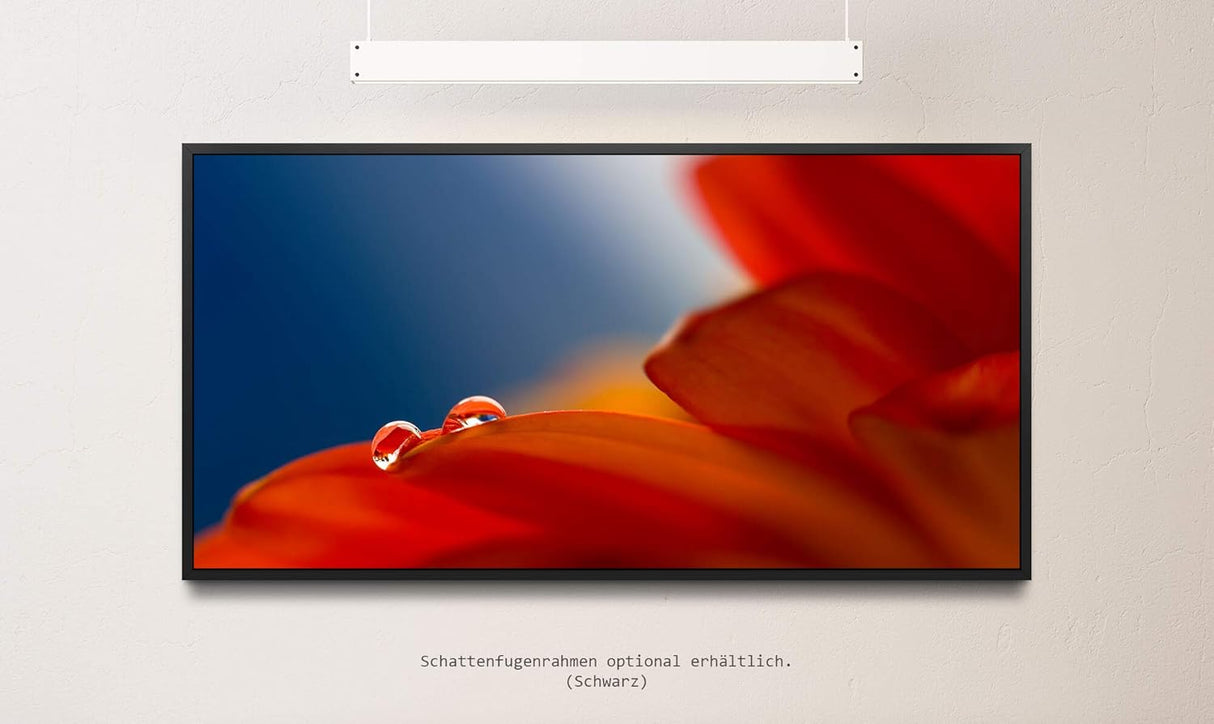 rote Blumen ca. 130x70cm Wandbild inklusive Schattenfugenrahmen schwarz - Panorama Leinwand Bild XXL Format Wandbilder Wohnzimmer Wohnung Deko Kunstdrucke