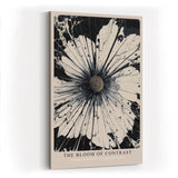 Paul Sinus Wandbild in 40x60cm The Bloom of Contrast – Abstraktes Blumenmotiv in Schwarz und Weiß mit intensiver Ausdruckskraft