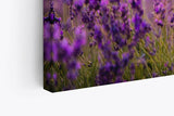 Paul Sinus Wandbild 120x80cm Lavendel Blumen Blüten Violett Sonnenuntergang Blumenwiese