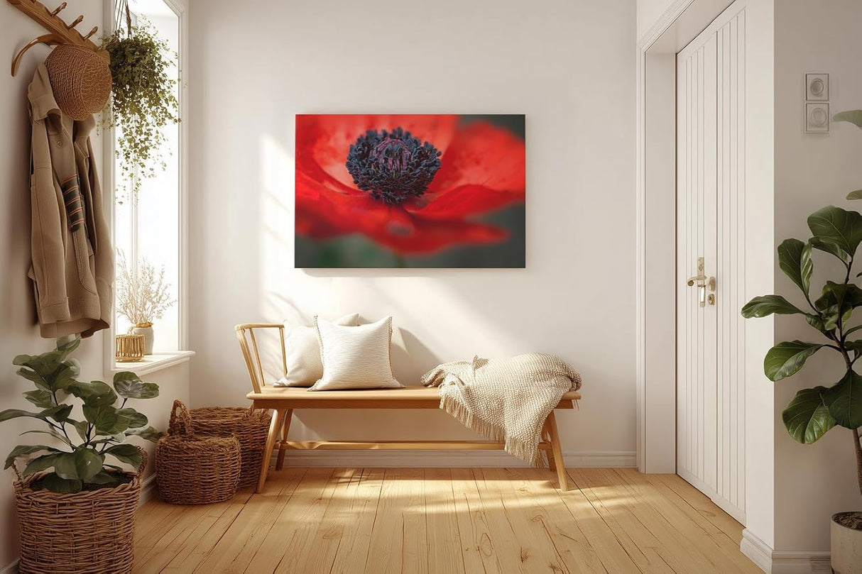 Sinus Art Wandbild 120x80cm Starke Nahaufnahme einer offenen roten Mohnblüte mit Fokus auf das tiefschwarze Zentrum