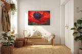 Sinus Art Wandbild 120x80cm Starke Nahaufnahme einer offenen roten Mohnblüte mit Fokus auf das tiefschwarze Zentrum