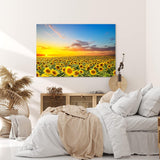 Paul Sinus Wandbild 120x80cm Sonnenblumen Blumenfeld Sonnenblumenfeld Sonnenuntergang
