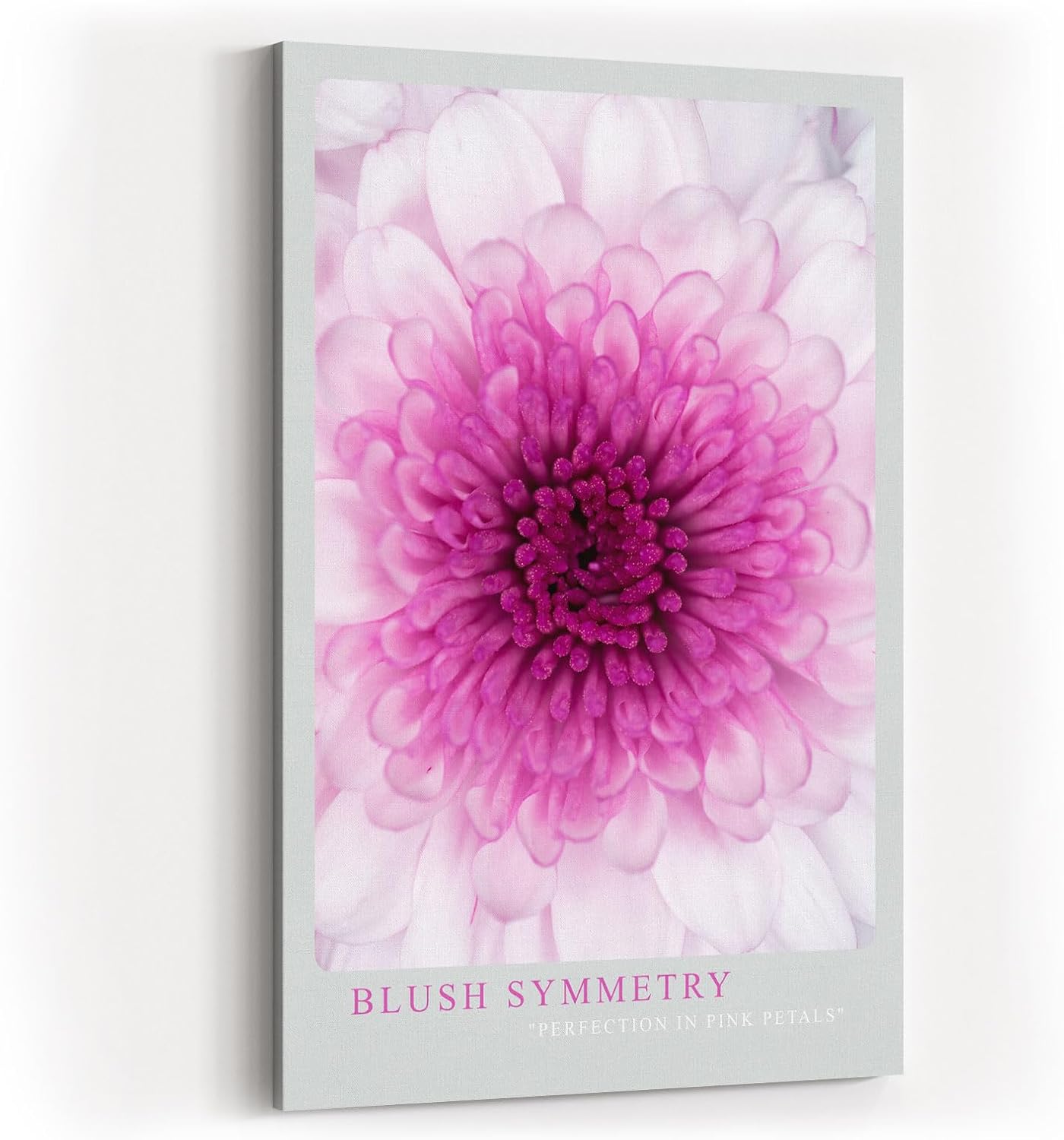 Paul Sinus Kunstdruck 40x60cm Blush Symmetry Rosafarbene Blüte in perfekter Anordnung Perfection in Pink Petals