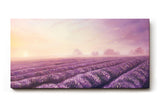 Sinus Art Wandbild 120x80cm Friedliche Landschaft mit Lavendelreihen und weichem Abendlicht für stimmungsvolle Atmosphäre
