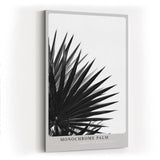 Paul Sinus Wandbild in 40x60cm Monochrome Palm – stilvolle Palmenblätter in kontrastreicher Schwarz-Weiß-Fotografie für moderne Räume