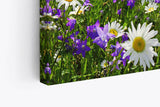 Paul Sinus Wandbild 120x80cm Gänseblümchen Blumenwiese Wiese Sommer Wildblumen
