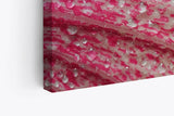 Paul Sinus Wandbild 120x80cm Blume Blüte Rosa Makroaufnahme Wassertropfen Kunstvoll