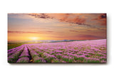 Sinus Art Wandbild 120x80cm Unendliches Lavendelfeld im warmen Licht des Sonnenuntergangs – beruhigend und harmonisch