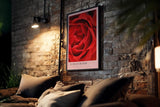 Paul Sinus Kunstdruck 40x60cm Scarlet Bloom – Rote Rosenblüte in Makroaufnahme mit eleganter Form und samtiger Textur