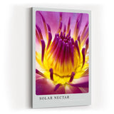 Paul Sinus Kunstdruck 40x60cm Blume Makro Gelb Pink Lila Lotus Blüte Solar Nectar
