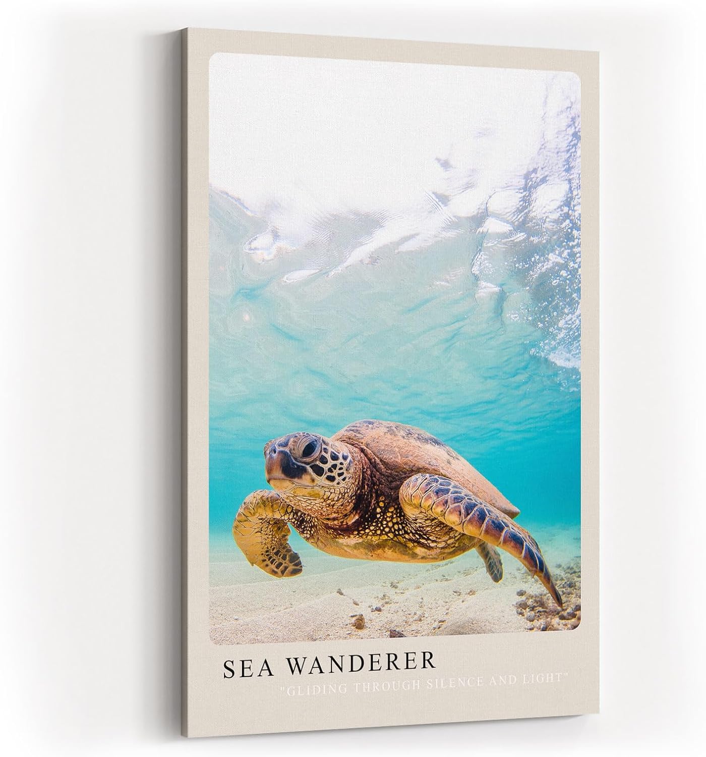 Paul Sinus Kunstdruck 40x60cm Sea Wanderer mit Meeresschildkröte unter Wasser in Türkis