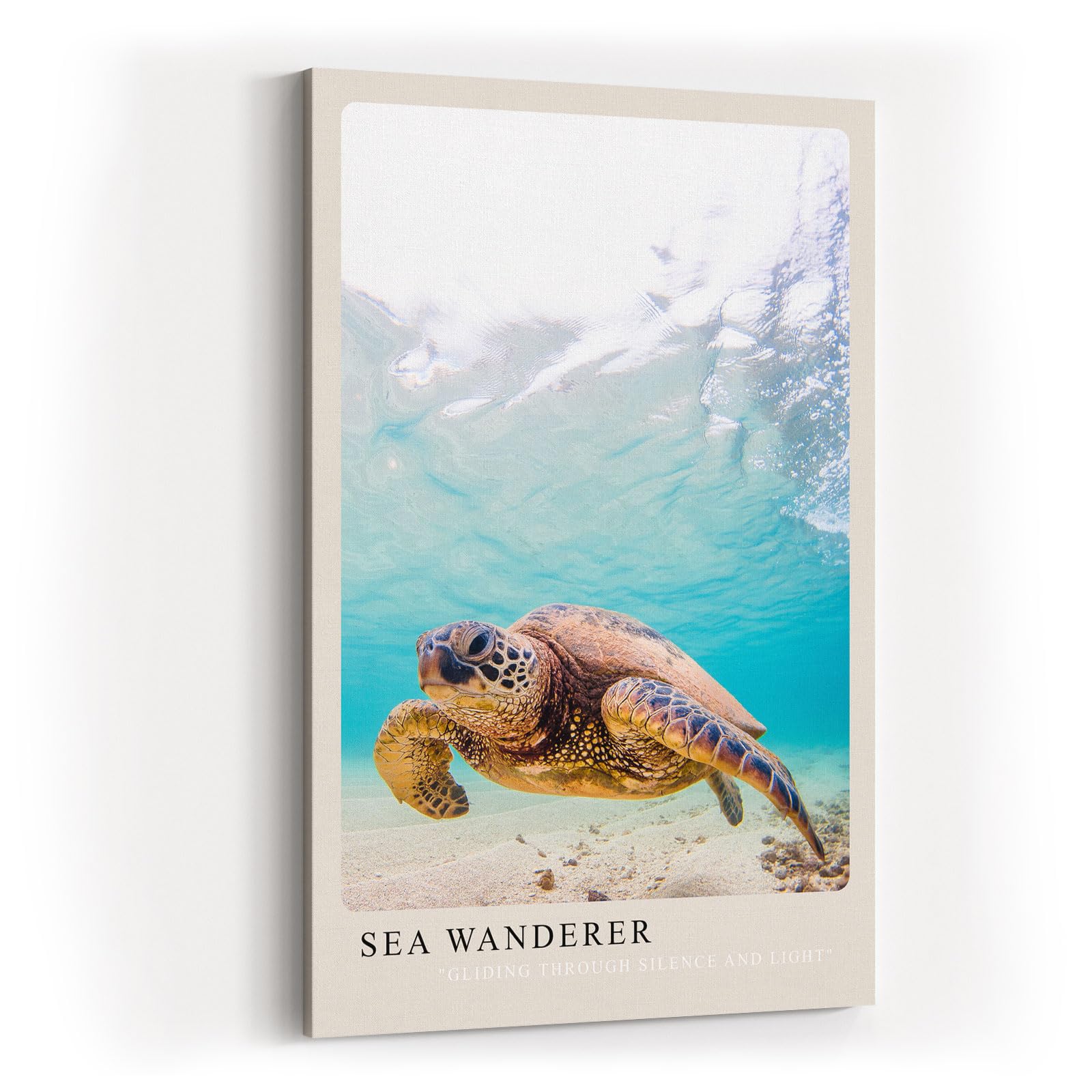 Paul Sinus Kunstdruck 40x60cm Sea Wanderer mit Meeresschildkröte unter Wasser in Türkis