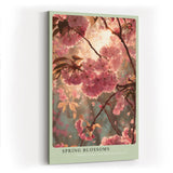 Paul Sinus Wandbild in 40x60cm Spring Blossoms – romantische Kirschblüten im sanften Frühlingslicht in zarter Farbgestaltung